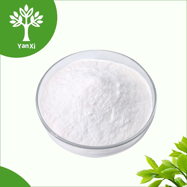 Erythritol Powder Bulk Erythritol Powder Bulk
